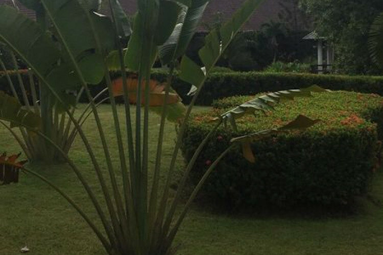 Дом в Паттайе, Таиланд | THE522490