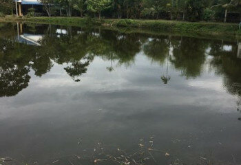 Дом в Паттайе, Таиланд | THE522490