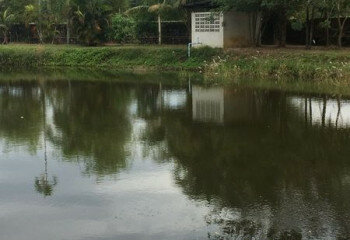 Дом в Паттайе, Таиланд | THE522490