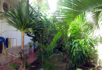 Дом в Паттайе, Таиланд | THE421131