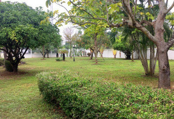 Дом в Сан Кампаенге, Таиланд | THE156870