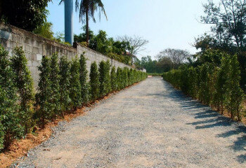 Дом в Чонбури, Таиланд | THE549483