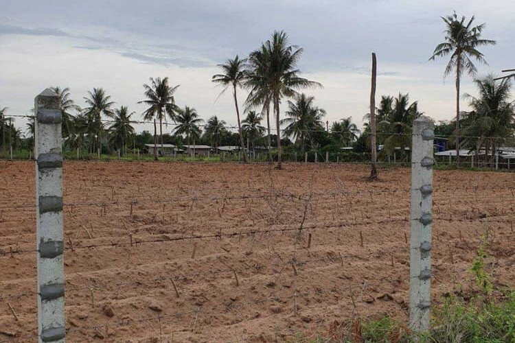 Земельный участок в Банг Ламунге, Таиланд | THE339714