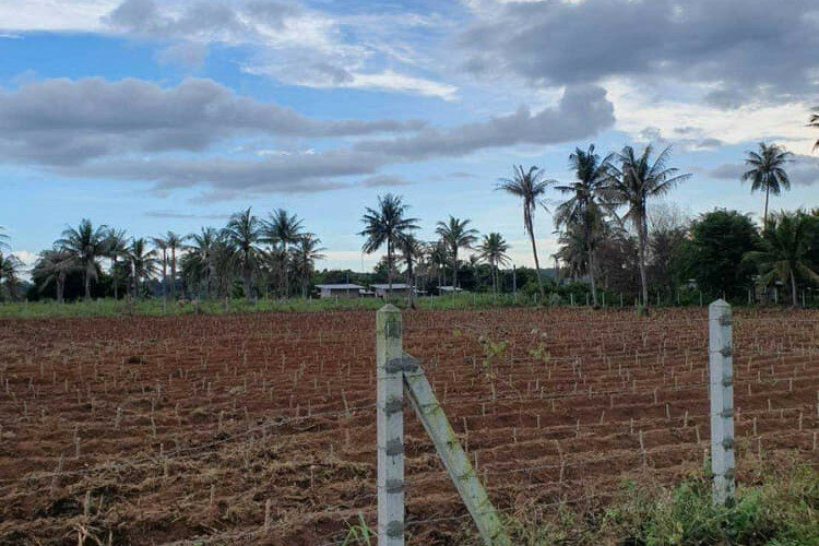 Земельный участок в Банг Ламунге, Таиланд | THE339714