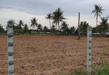 Земельный участок в Банг Ламунге, Таиланд | THE339714