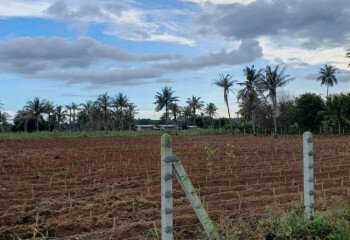 Земельный участок в Банг Ламунге, Таиланд | THE339714