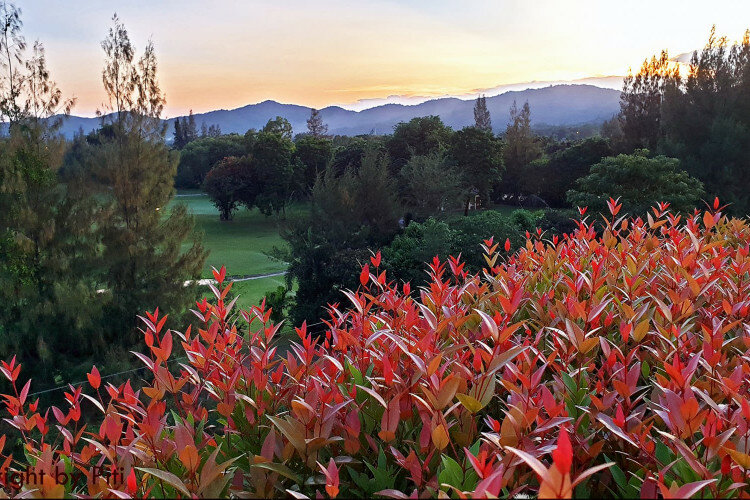 Кондоминиум в Хуахине, Таиланд | THE557922