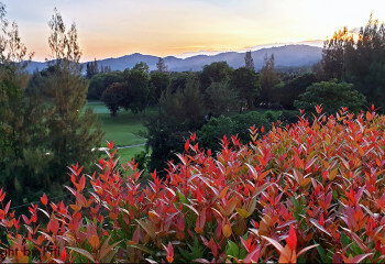 Кондоминиум в Хуахине, Таиланд | THE557922