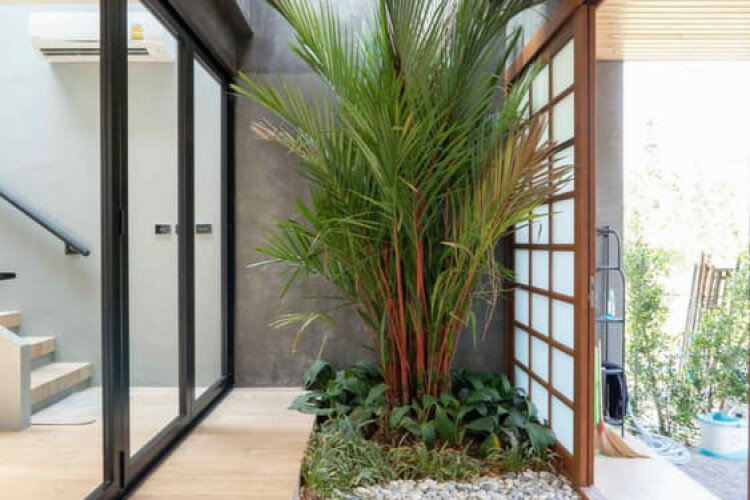 Дом на Пхукете, Таиланд | THE409187