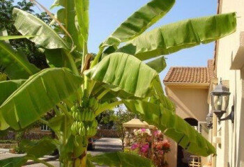 Дом в Паттайе, Таиланд | THE428396