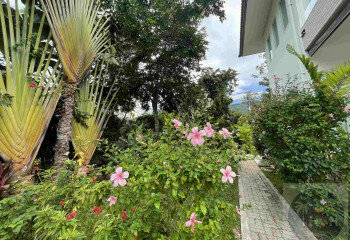 Вилла на острове Самуй, Таиланд | THE209343