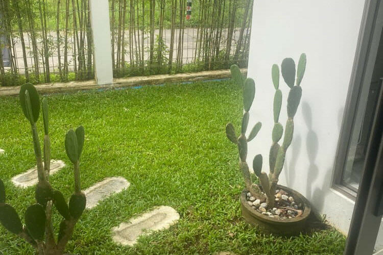 Дом на Пхукете, Таиланд | THE545936