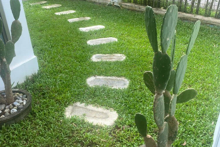 Дом на Пхукете, Таиланд | THE545936