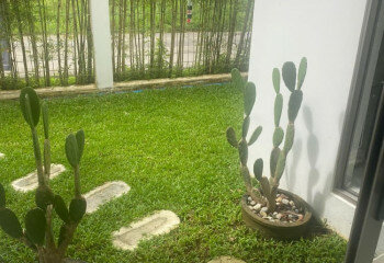 Дом на Пхукете, Таиланд | THE545936