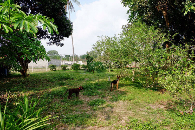 Дом в Паттайе, Таиланд | THE127799