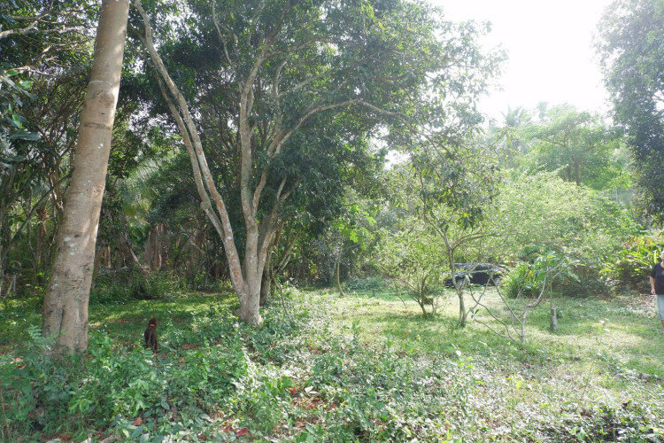 Дом в Паттайе, Таиланд | THE127799