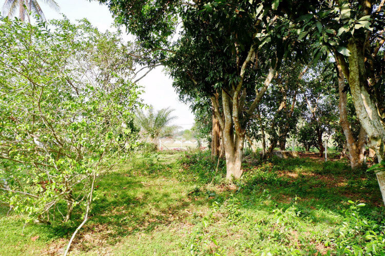 Дом в Паттайе, Таиланд | THE127799