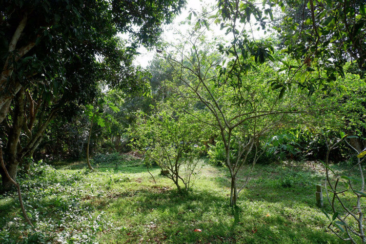 Дом в Паттайе, Таиланд | THE127799