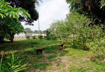 Дом в Паттайе, Таиланд | THE127799