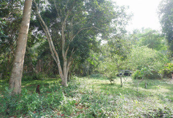 Дом в Паттайе, Таиланд | THE127799