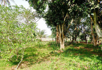 Дом в Паттайе, Таиланд | THE127799