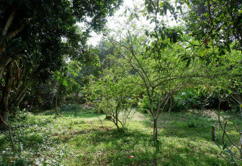 Дом в Паттайе, Таиланд | THE127799