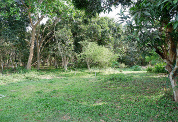 Дом в Паттайе, Таиланд | THE127799