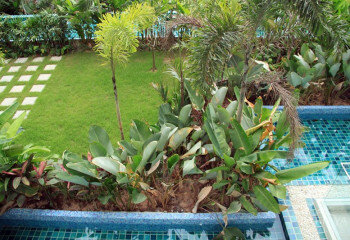 Кондоминиум в Паттайе, Таиланд | THE125096