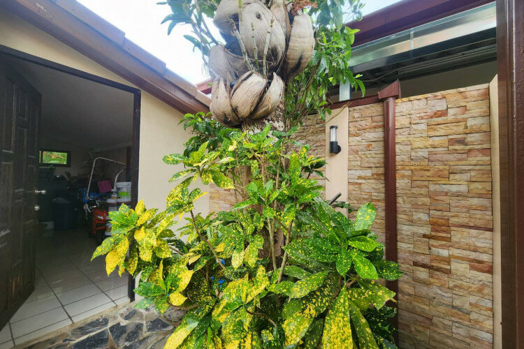 Дом в Паттайе, Таиланд | THE455789