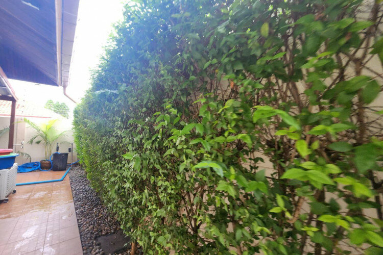 Дом в Паттайе, Таиланд | THE455789