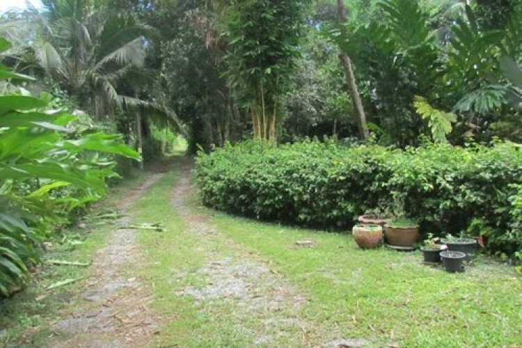 Дом в Паттайе, Таиланд | THE222284