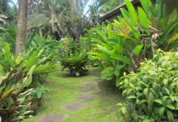 Дом в Паттайе, Таиланд | THE222284