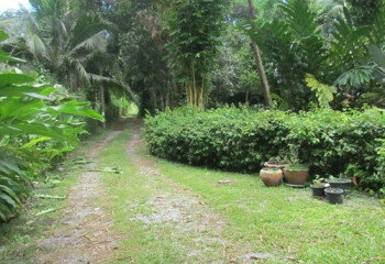 Дом в Паттайе, Таиланд | THE222284