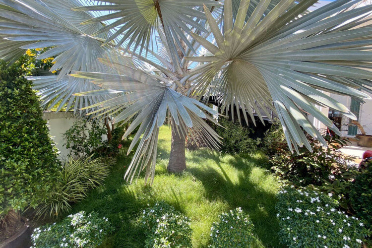 Дом в Паттайе, Таиланд | THE127570