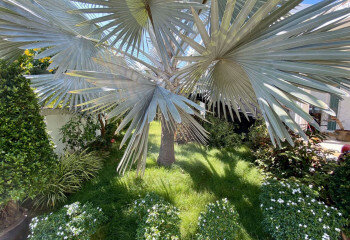 Дом в Паттайе, Таиланд | THE127570