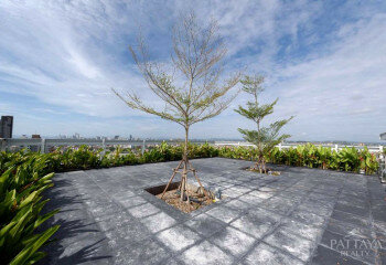 Кондоминиум в Джомтьене, Паттайя, Таиланд | THE221496