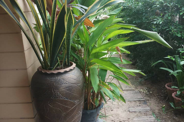 Дом в Паттайе, Таиланд | THE123418