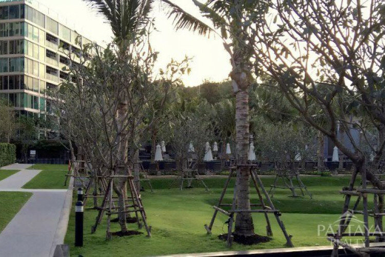 Кондоминиум в Паттайе, Таиланд | THE446271