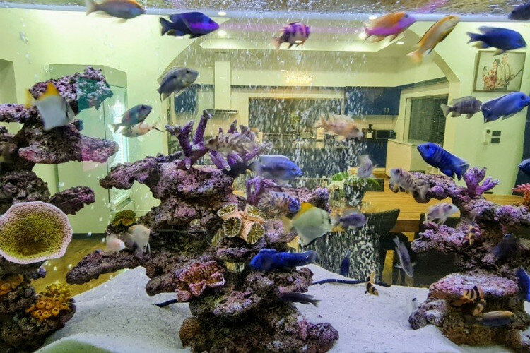 Дом в Банг Ламунге, Таиланд | THE240259