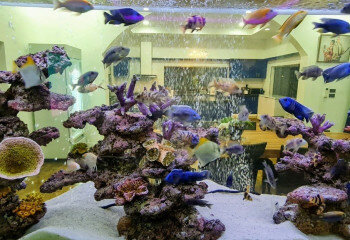 Дом в Банг Ламунге, Таиланд | THE240259