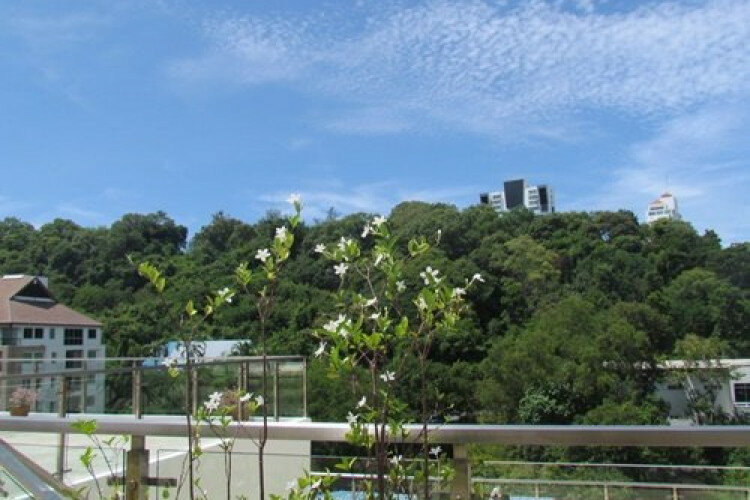 Кондоминиум в Паттайе, Таиланд | THE146417