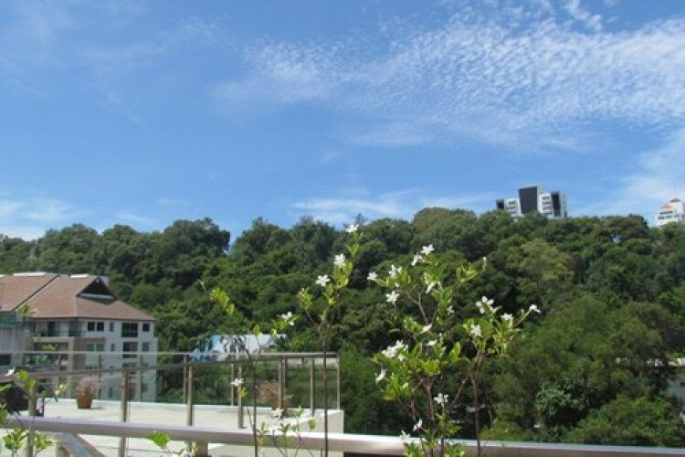 Кондоминиум в Паттайе, Таиланд | THE146417