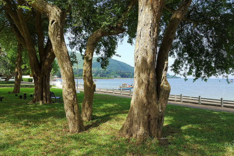 Кондоминиум в Паттайе, Таиланд | THE346572