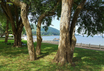 Кондоминиум в Паттайе, Таиланд | THE346572