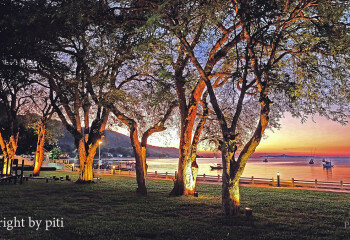 Кондоминиум в Паттайе, Таиланд | THE346572