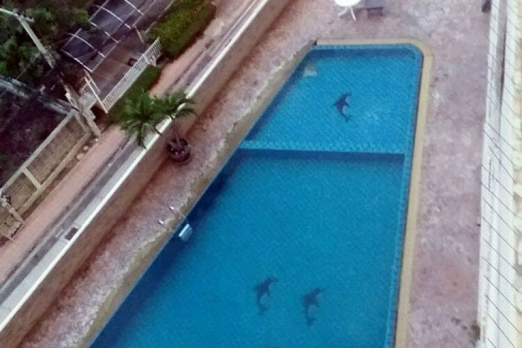 Кондоминиум в Паттайе, Таиланд | THE446418