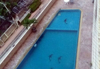 Кондоминиум в Паттайе, Таиланд | THE446418