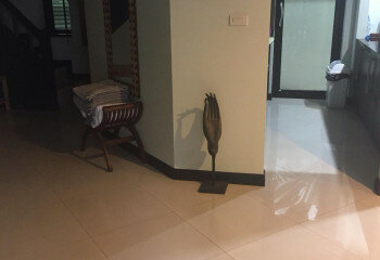 Дом в Банг Ламунге, Таиланд | THE138589