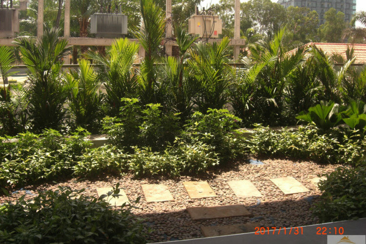 Кондоминиум в Паттайе, Таиланд | THE246296