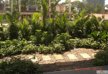 Кондоминиум в Паттайе, Таиланд | THE246296